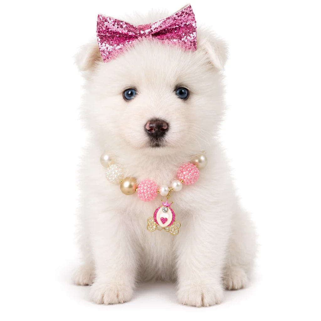 Pomsky foto 4